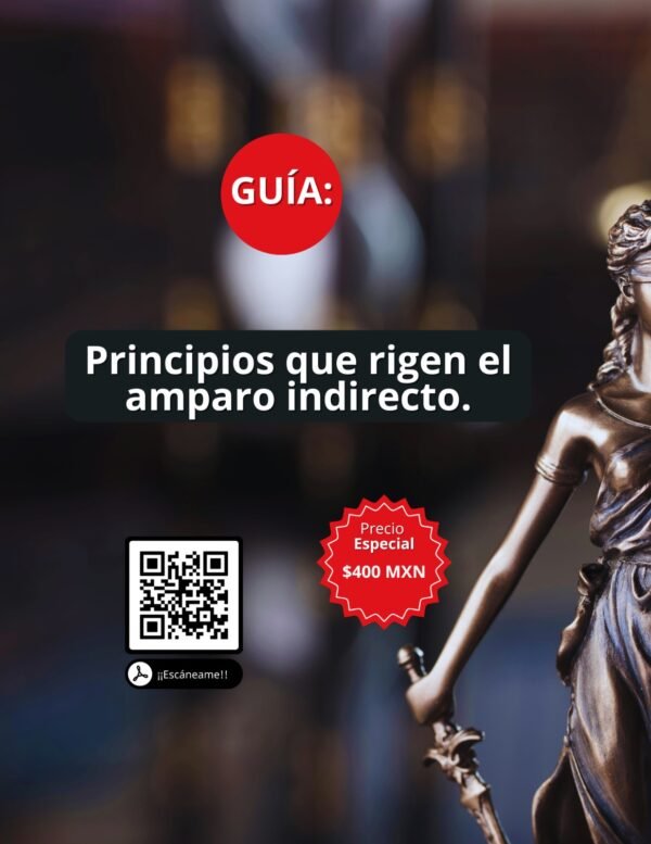 Guía: Principios que rigen el amparo indirecto.